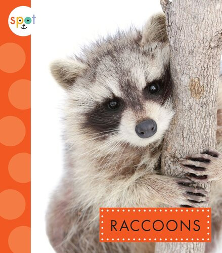 Raccoons Readalong Ebook Marysa Storm
