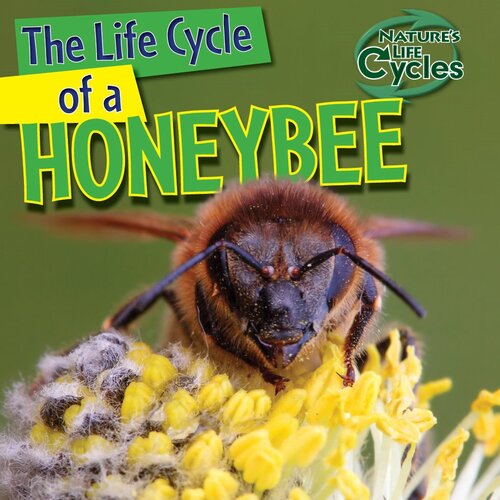 The Life Cycle Of A Honeybee Readalong Ebook Barbara M Linde