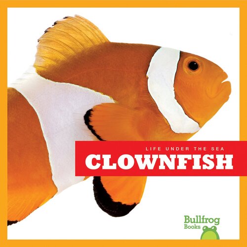 Clownfish Isbn9781620310304 Amazon1620310309 Readalong Ebook Cari Meister