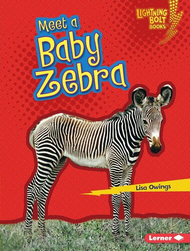 Meet A Baby Zebra Isbn9781636900506 Readalong Ebook Lisa Owings