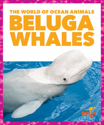 Beluga Whales Isbn9781636900506 Mari C Schuh