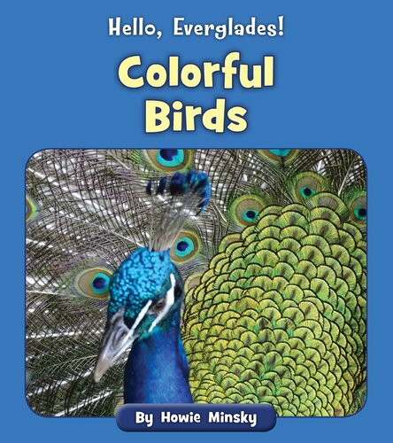 Colorful Birds Howie Minsky