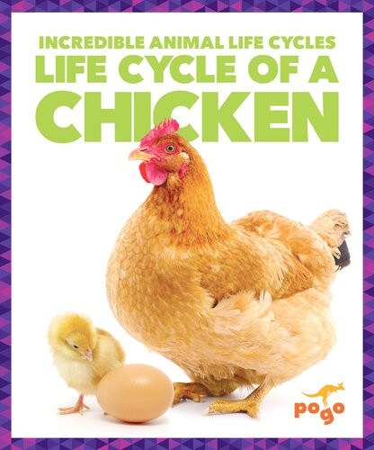 Life Cycle Of A Chicken Readalong Ebook Karen Latchana Kenney