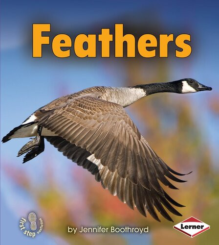Feathers Body Coverings Readalong Ebook Jennifer Boothroyd