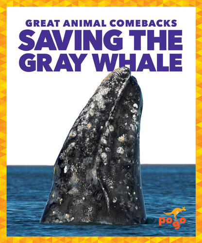 Saving The Gray Whale Readalong Ebook Karen Latchana Kenney