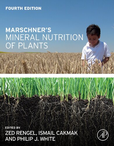 Marschners Mineral Nutrition Of Plants 4th Edition Zed Rengel