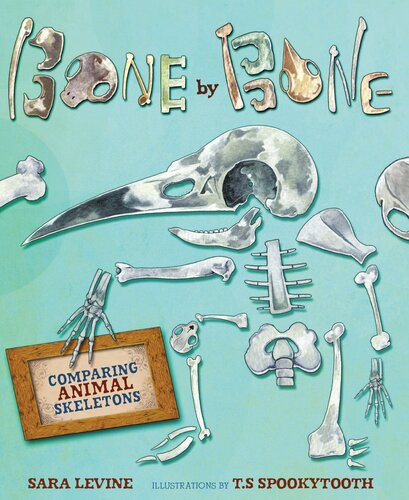 Bone By Bone Comparing Animal Skeletons Readalong Ebook Sara Levine