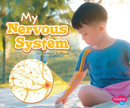My Nervous System A 4d Book Martha E Rustad Martha E H Rustad