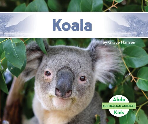 Koala Readalong Ebook Grace Hansen