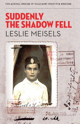 Suddenly The Shadow Fell Leslie Meisels