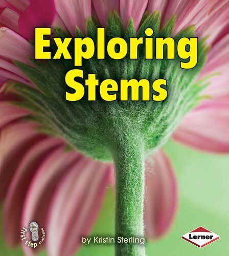 Exploring Stems Lets Look At Plants Readalong Ebook Kristin Sterling