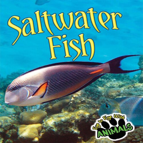 Saltwater Fish Tom Greve