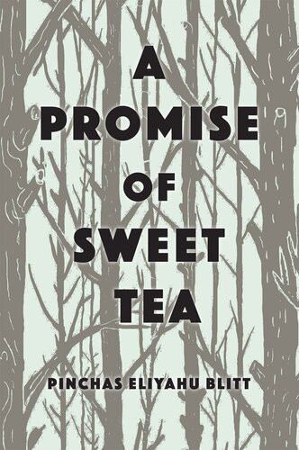 A Promise Of Sweet Tea Pinchas Blitt