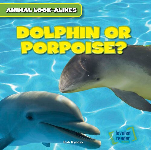 Dolphin Or Porpoise Readalong Ebook Rob Ryndak