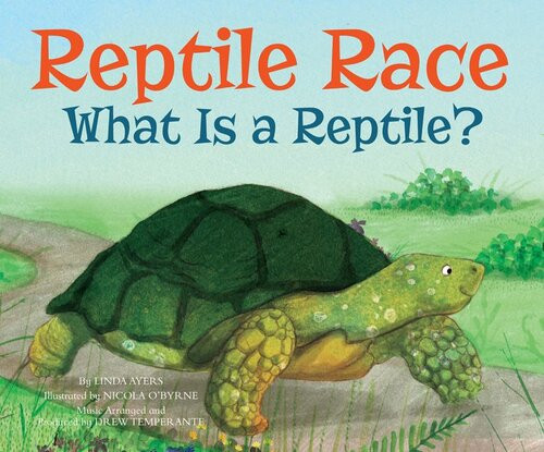 Reptile Race What Is A Reptile Linda Ayers