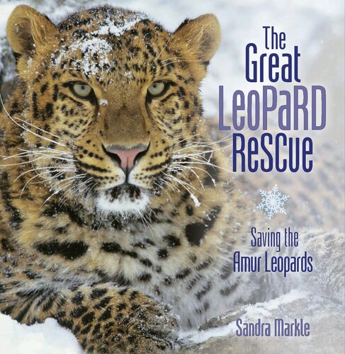 The Great Leopard Rescue Saving The Amur Leopards Readalong Ebook Sandra Markle