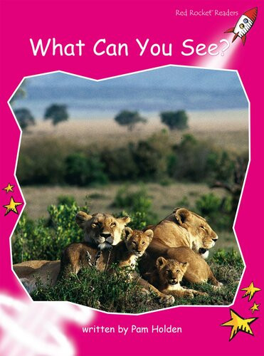 What Can You See Readalong Ebook Pam Holden