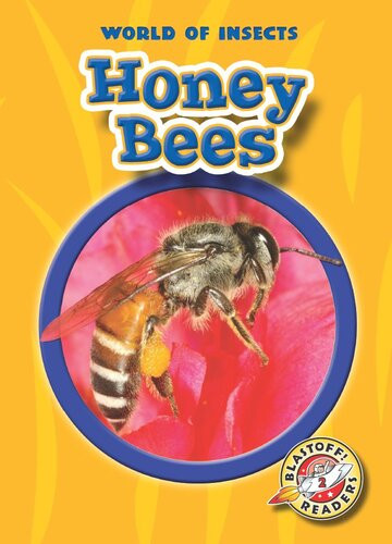 Honey Bees Readalong Ebook Colleen Sexton