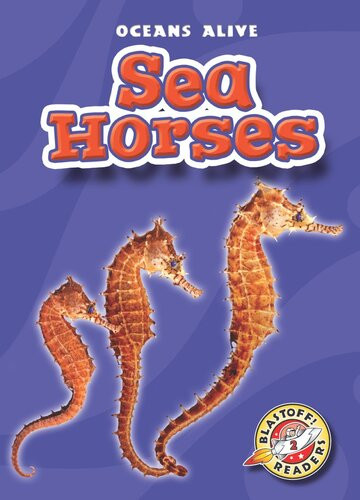 Sea Horses Readalong Ebook Ann Herriges