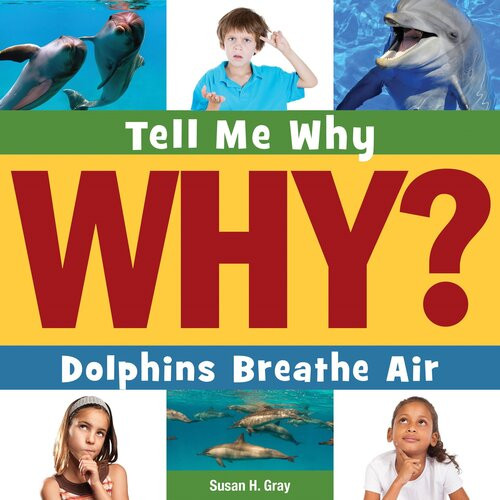 Dolphins Breathe Air Readalong Ebook Susan H Gray