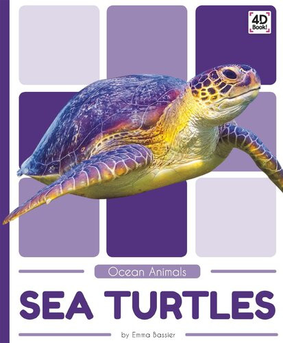 Sea Turtles Emma Bassier