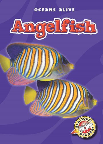 Angelfish Readalong Ebook Colleen Sexton