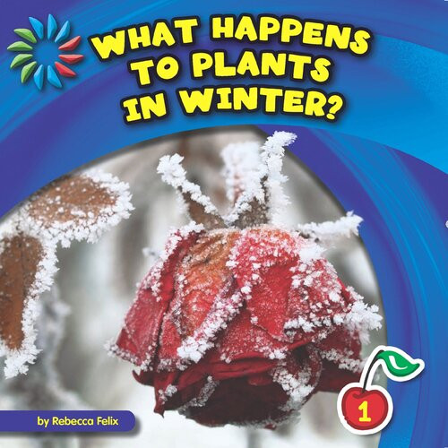 What Happens To Plants In Winter Readalong Ebook Rebecca Felix