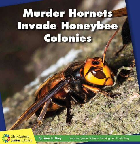 Murder Hornets Invade Honeybee Colonies Susan H Gray