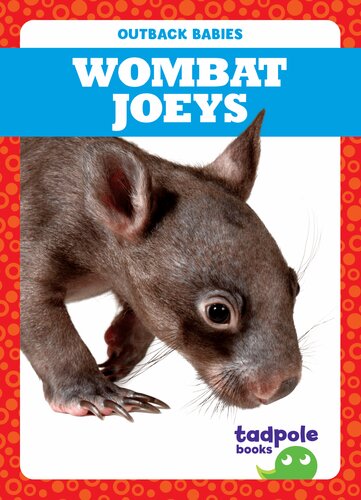 Wombat Joeys Genevieve Nilsen