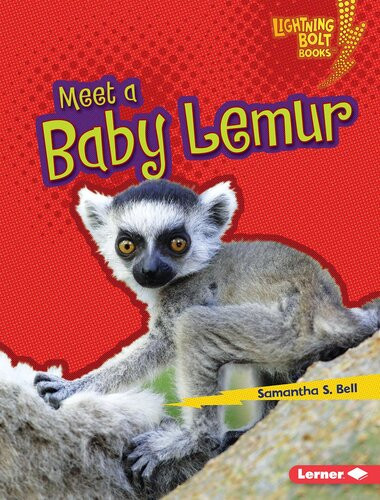 Meet A Baby Lemur Readalong Ebook Samantha S Bell