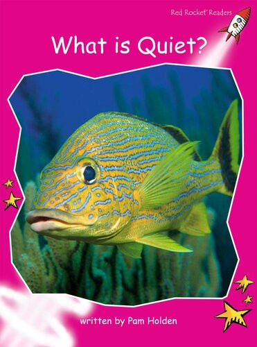 What Is Quiet Readalong Ebook Pam Holden