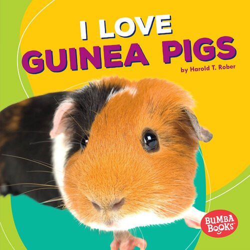 I Love Guinea Pigs Readalong Ebook Harold Rober