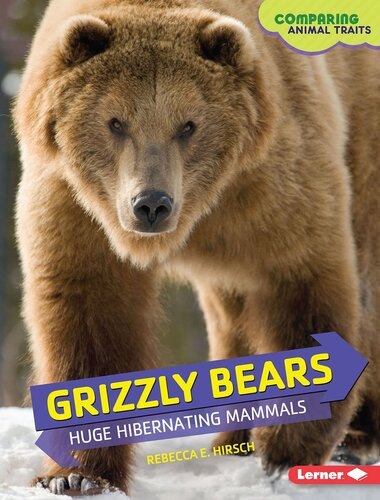 Grizzly Bears Huge Hibernating Mammals Readalong Ebook Rebecca E Hirsch