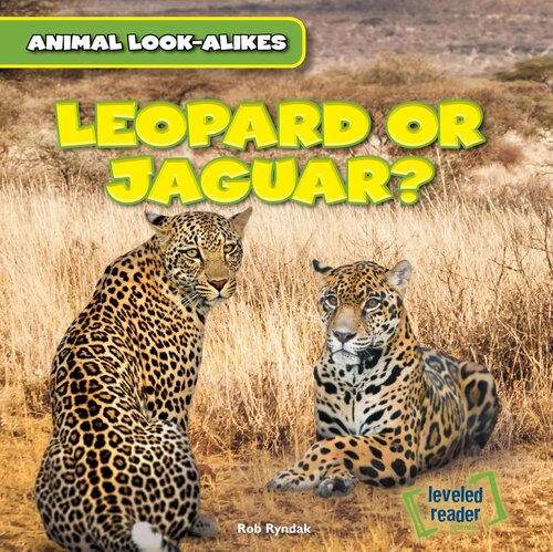 Leopard Or Jaguar Readalong Ebook Rob Ryndak