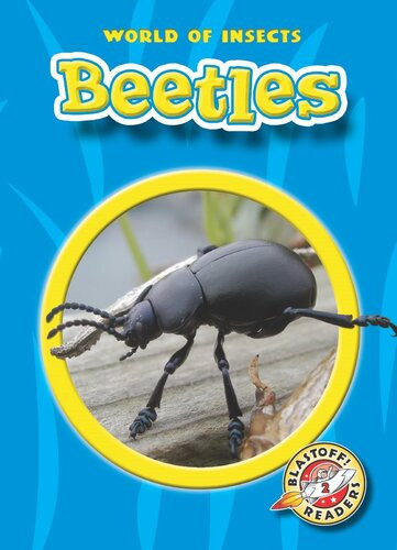 Beetles Readalong Ebook Colleen Sexton