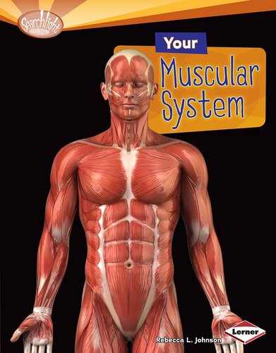 Your Muscular System Readalong Ebook Rebecca L Johnson