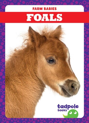 Foals Readalong Ebook Tim Mayerling