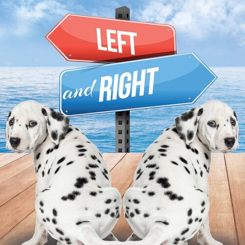 Left And Right Readalong Ebook Taylor Farley