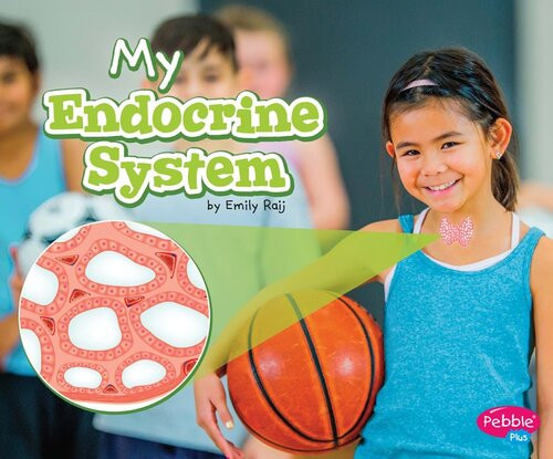 My Endocrine System A 4d Book Emily Raij