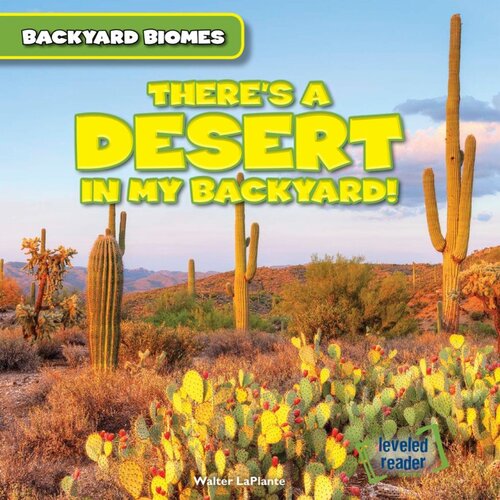 Theres A Desert In My Backyard Readalong Ebook Walter Laplante