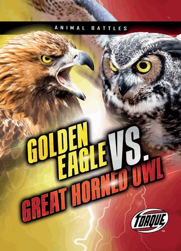 Golden Eagle Vs Great Horned Owl Nathan Sommer
