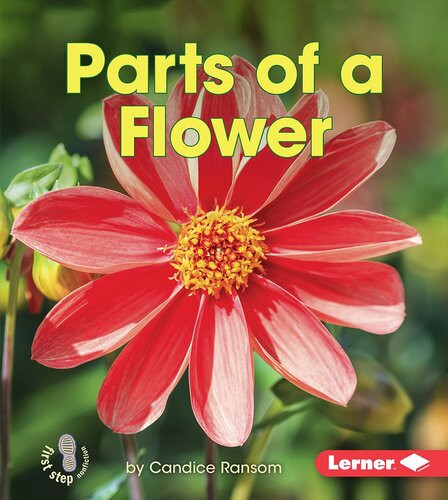 Parts Of A Flower Readalong Ebook Candice Ransom