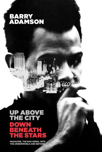 Up Above The City Down Beneath The Stars Barry Adamson