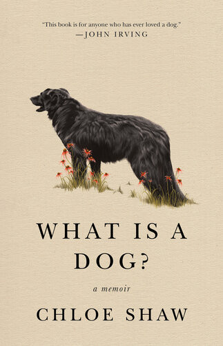 What Is A Dog Chloe Shaw