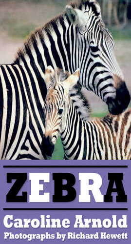 Zebra Caroline Arnold