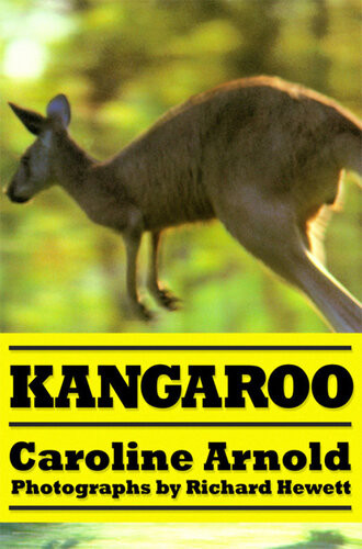 Kangaroo Caroline Arnold