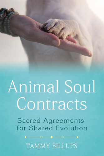 Animal Soul Contracts Sacred Agreements For Shared Evolution Tammy Billups