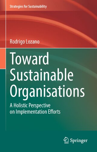 Toward Sustainable Organisations A Holistic Perspective On Implementation Efforts Rodrigo Lozano