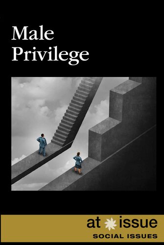 Male Privilege Anna Wenzel