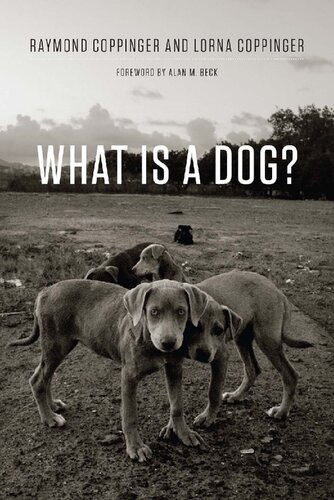 What Is A Dog Raymond Coppinger Lorna Coppinger